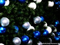 wesolych swiat 2016  (6)  Wesołych Świąt od Kronik Poznania 2016 © ®